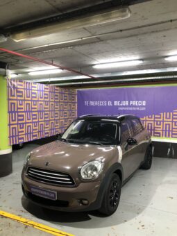 
										Mini Countryman full									